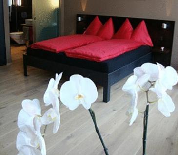 Hotel Quersinn Пфефикон Стая снимка